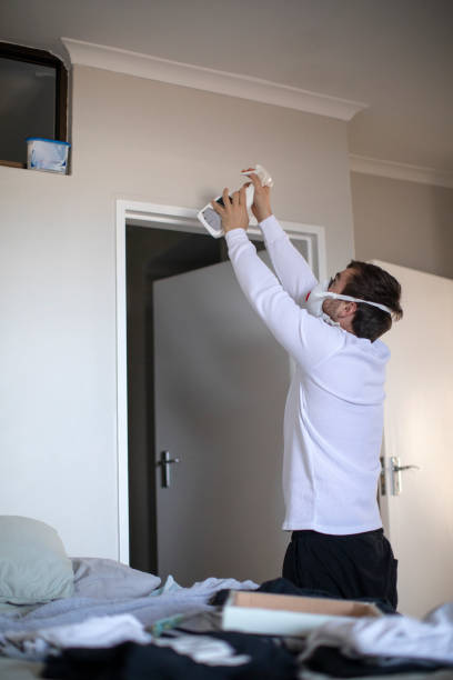 Best Mold Odor Removal Services  in Avonmore, PA