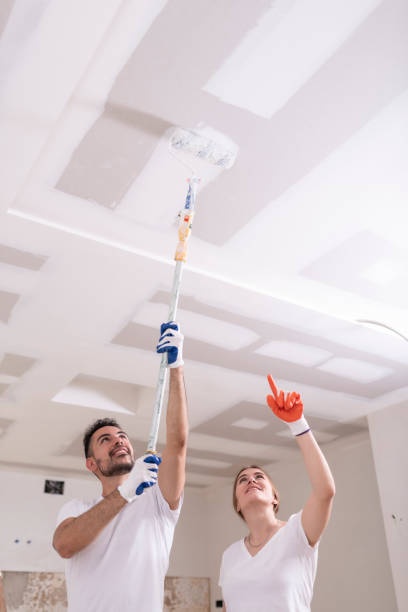 Best Attic Mold Removal  in Avonmore, PA