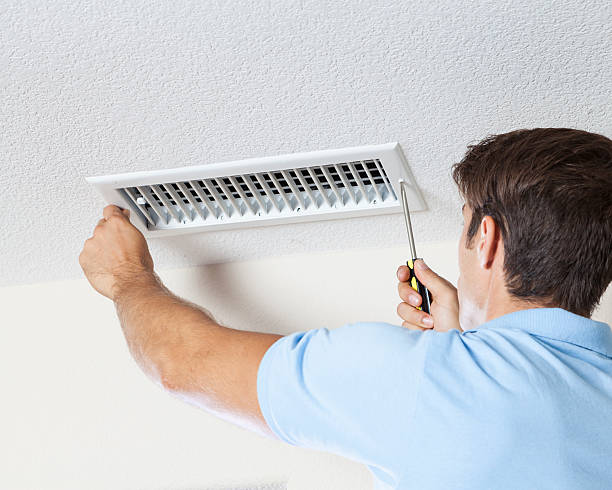 Best Basement Mold Removal  in Avonmore, PA